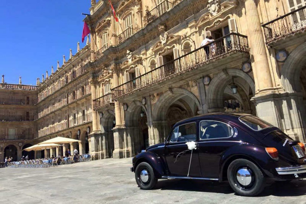 Volskwagen Escarabajo Negro