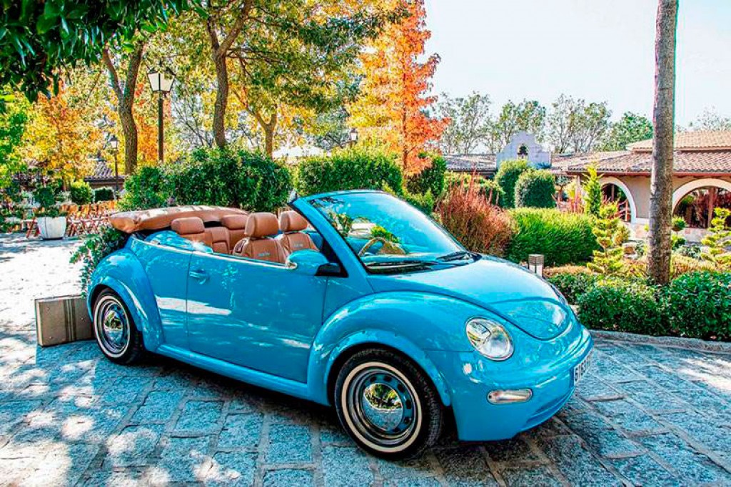 Beetle Chic Azul