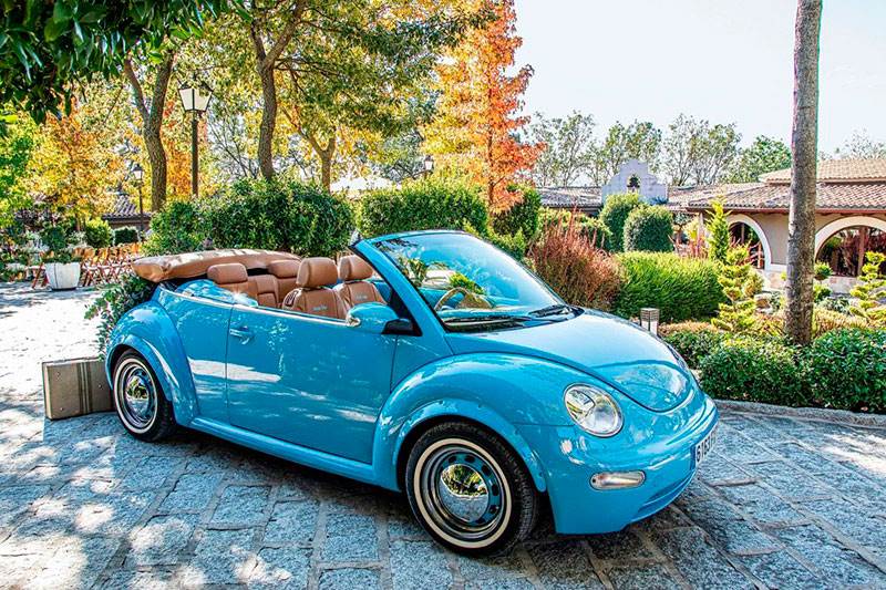 Beetle Chic 